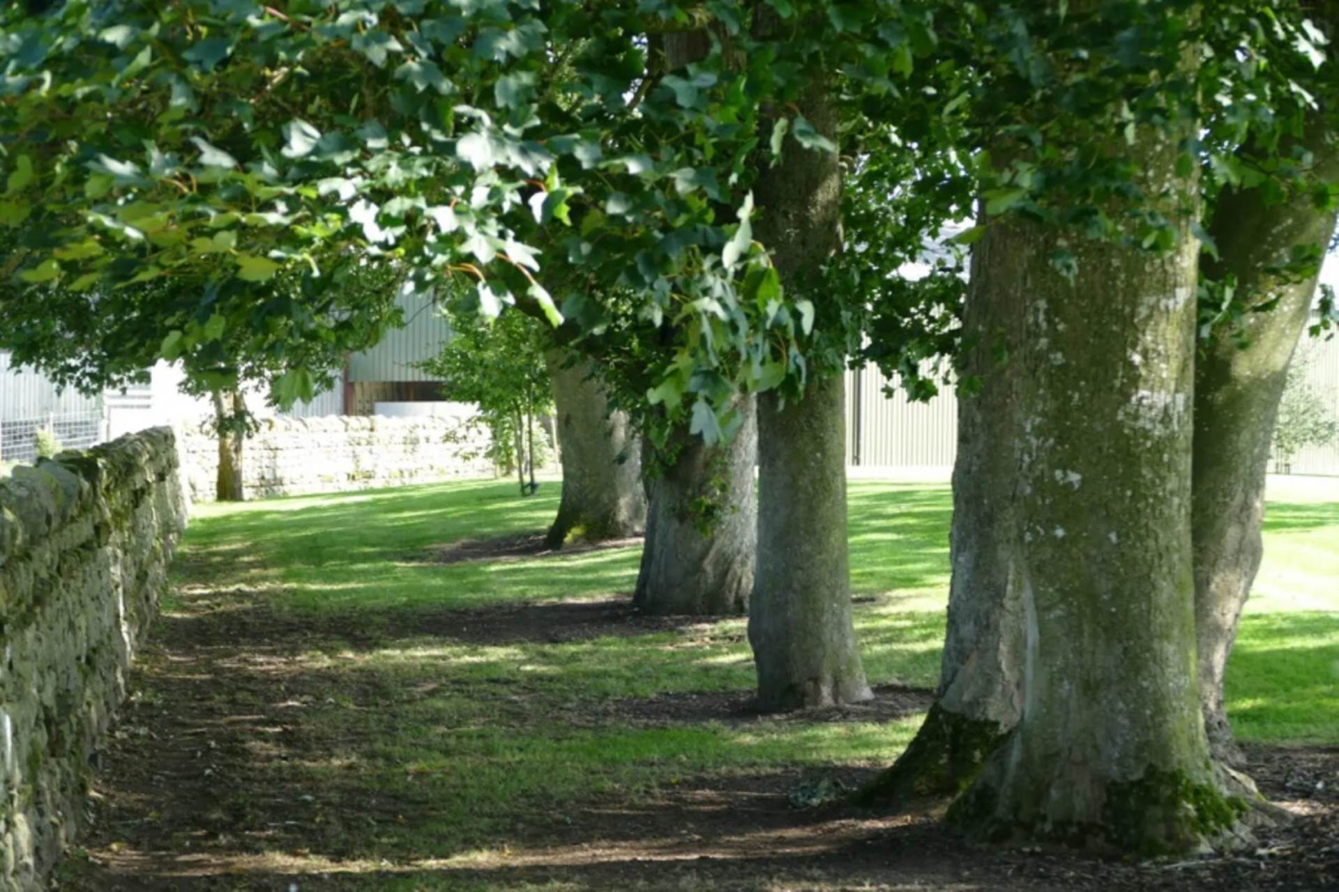 Appleby In Westmorland, Cumbria, Image 16