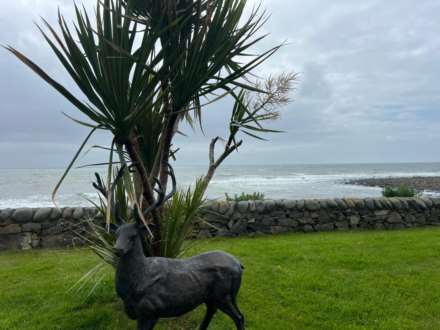 Newton Stewart, Image 12