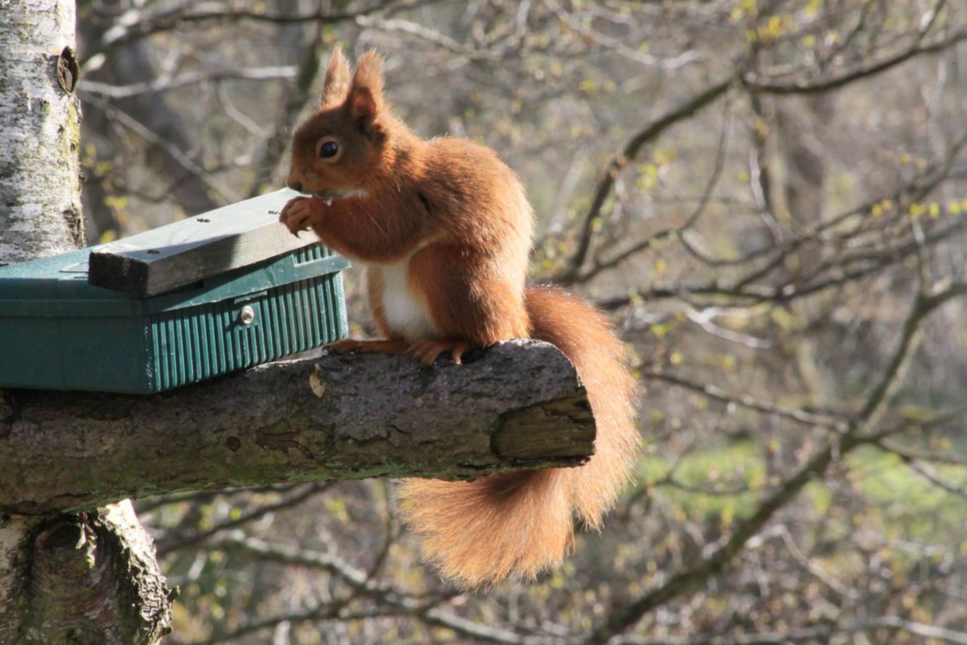 Slaggyford, Brampton, Image 21