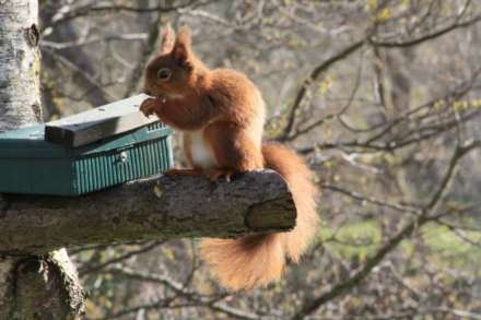 Slaggyford, Brampton, Image 21