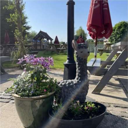 Skirlaugh, East Yorkshire, Image 21