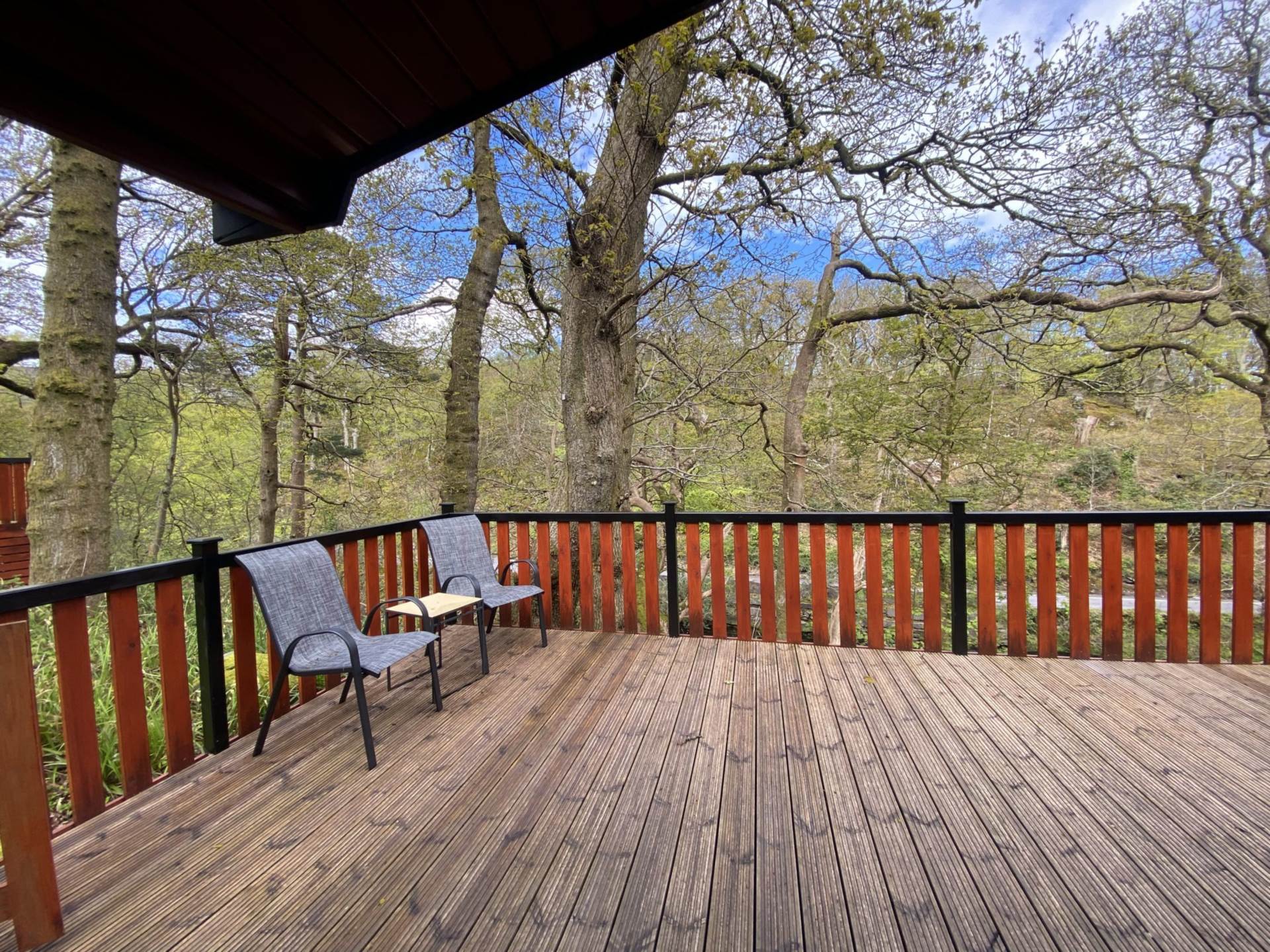 Snowdonia - Absolute Bargain, Image 17