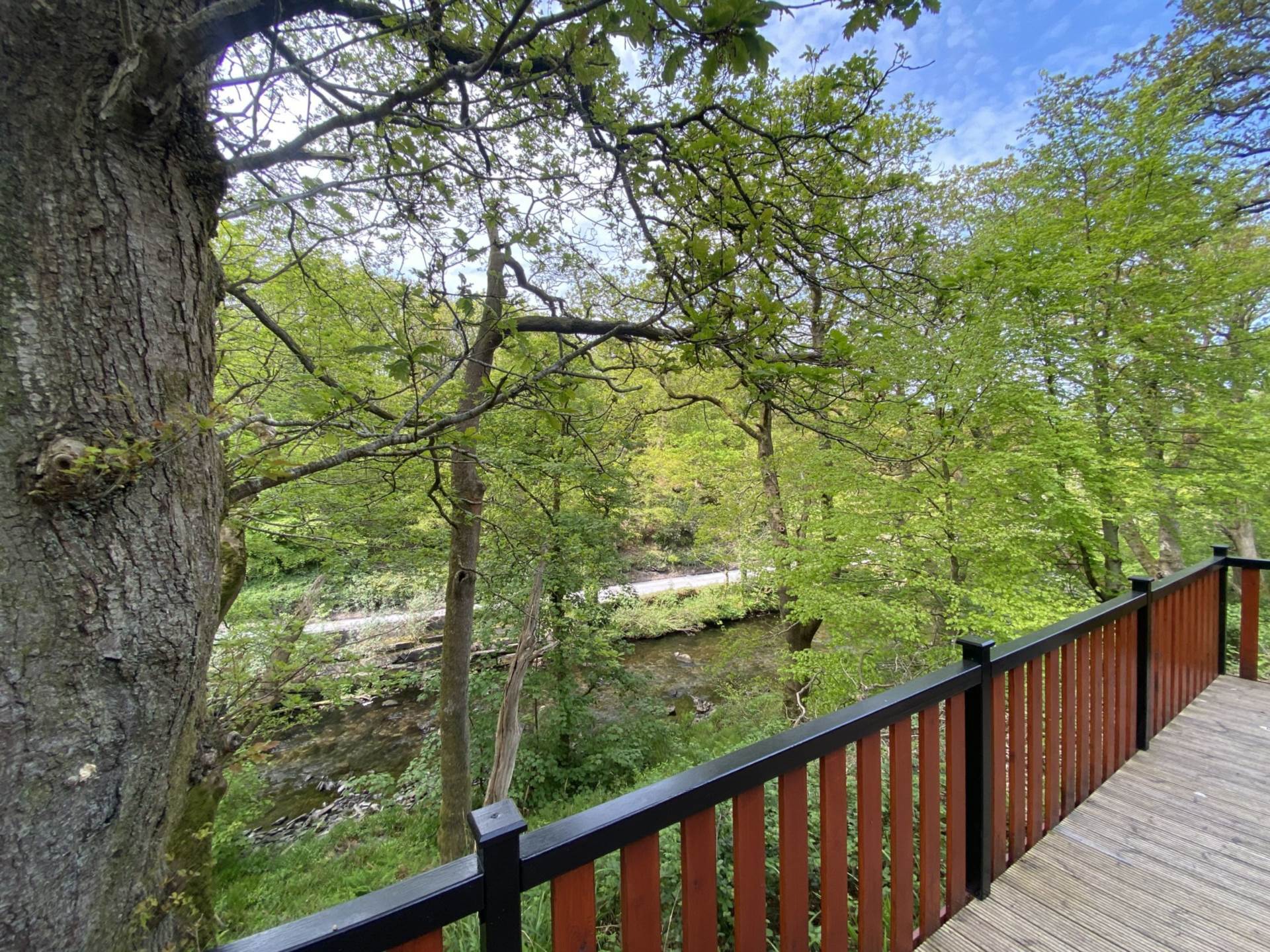 Snowdonia - Absolute Bargain, Image 3