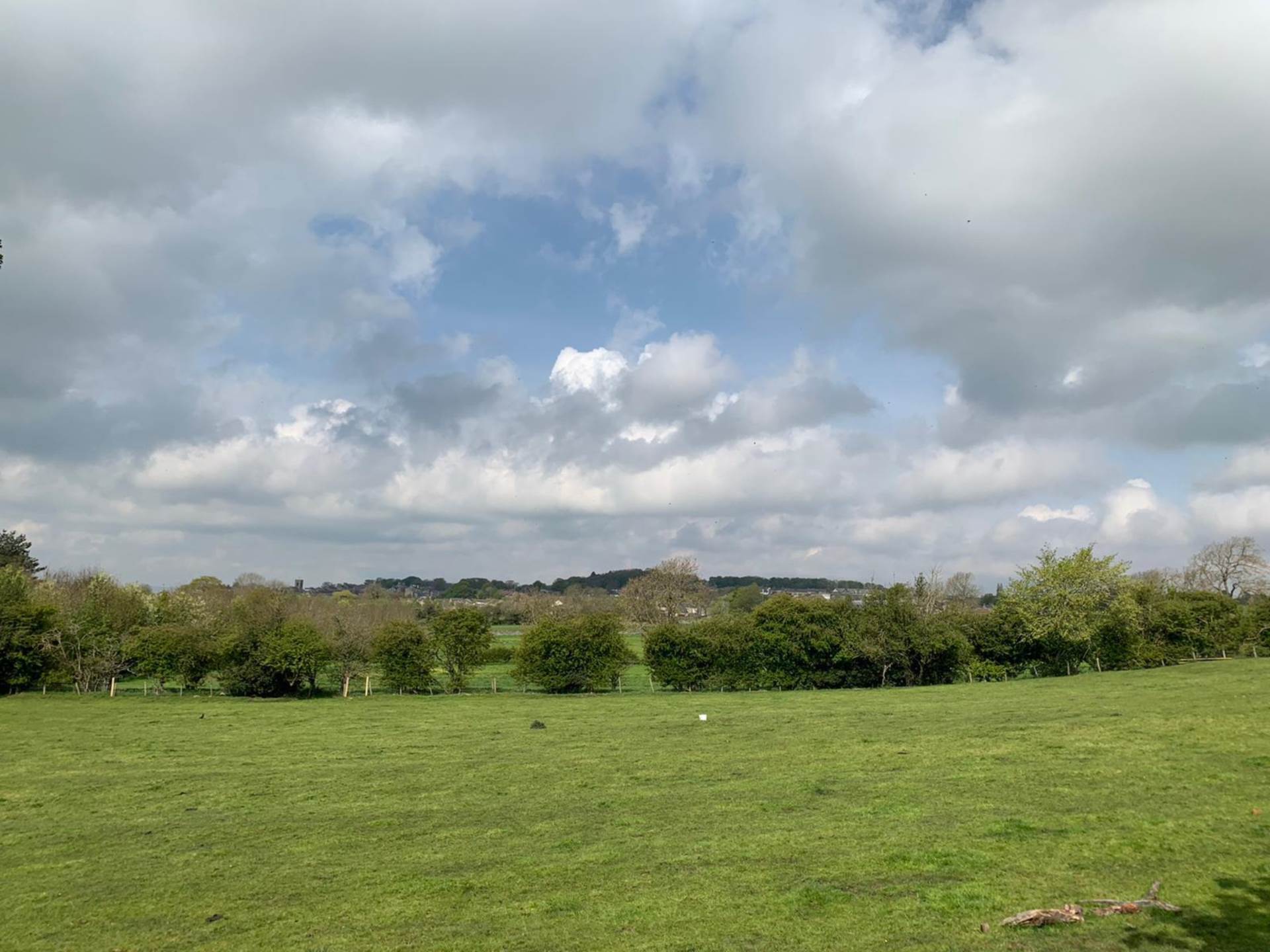 Harmby, Leyburn, Image 16