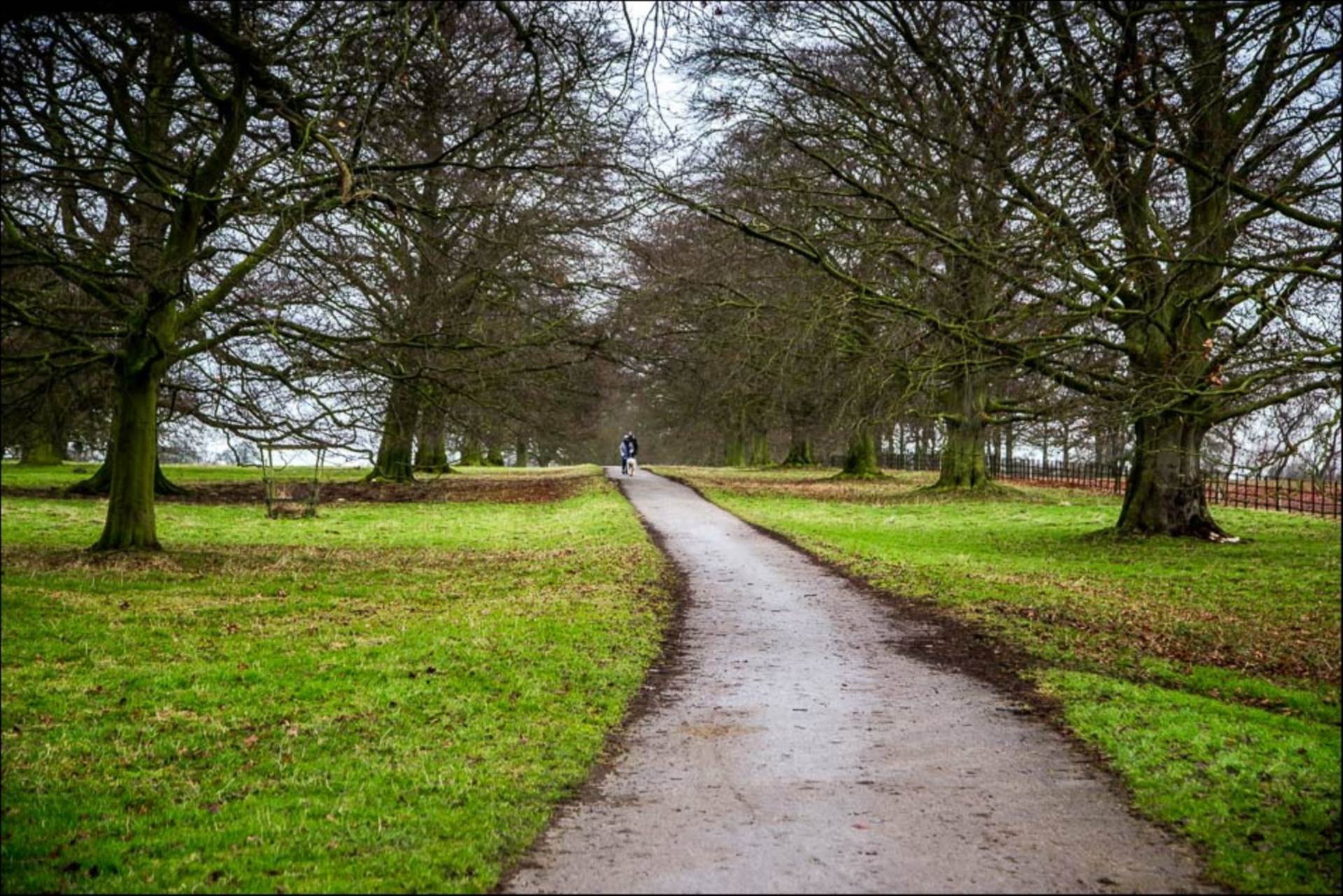 Brough, East Yorkshire, Image 15