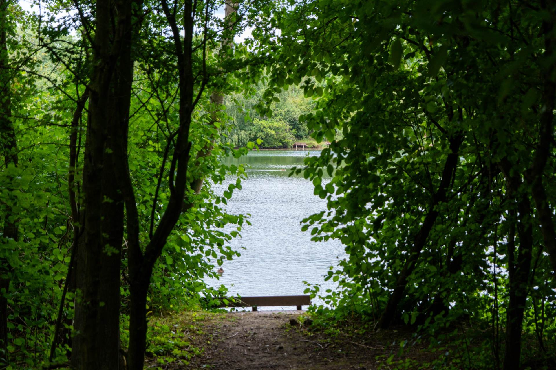 Brough, East Yorkshire, Image 16