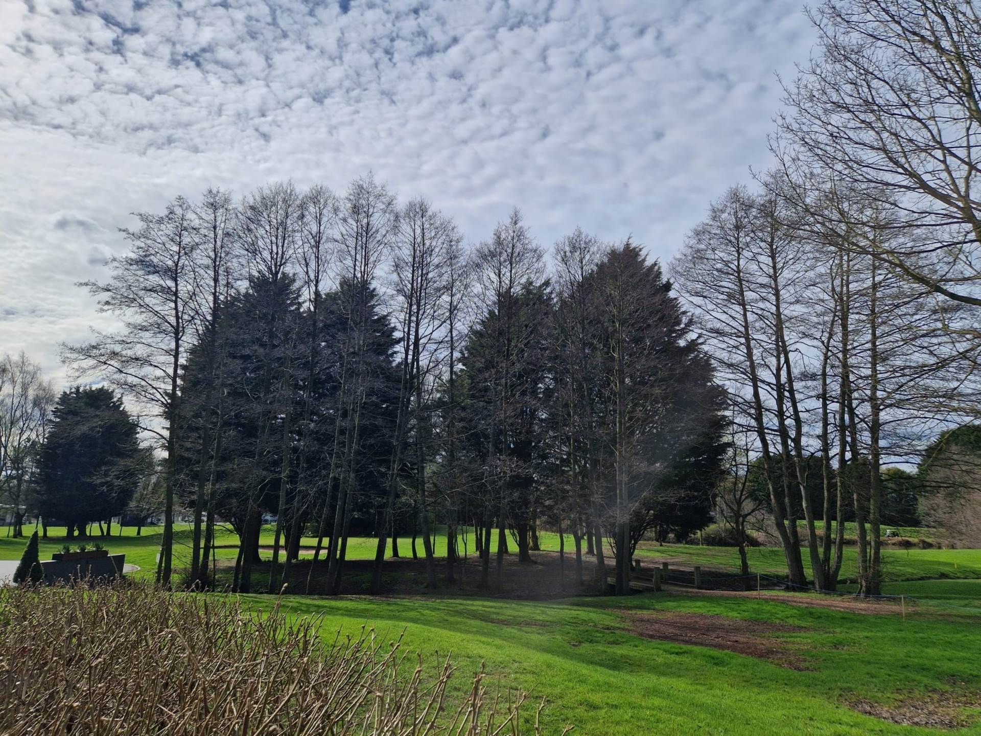 York, Image 19