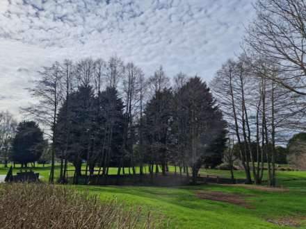York, Image 19