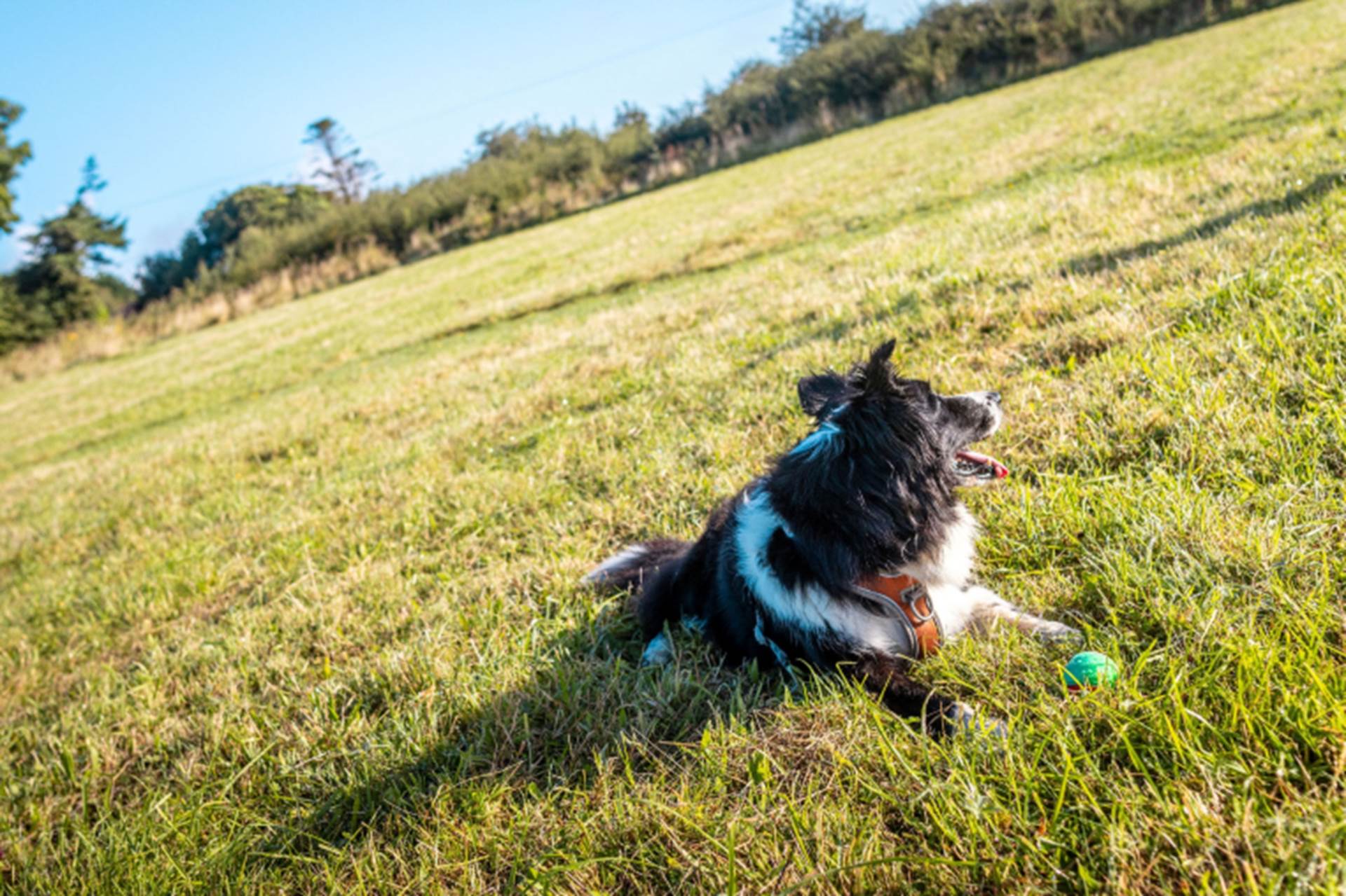 Brynteg, Anglesey, Image 18