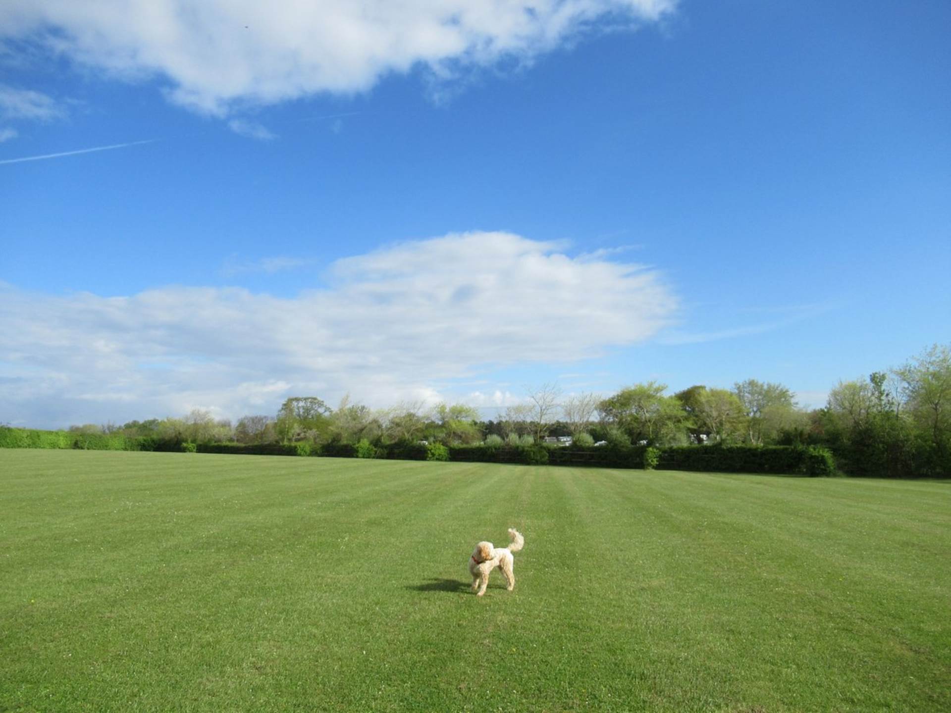Mersea Island, Colchester, Image 22
