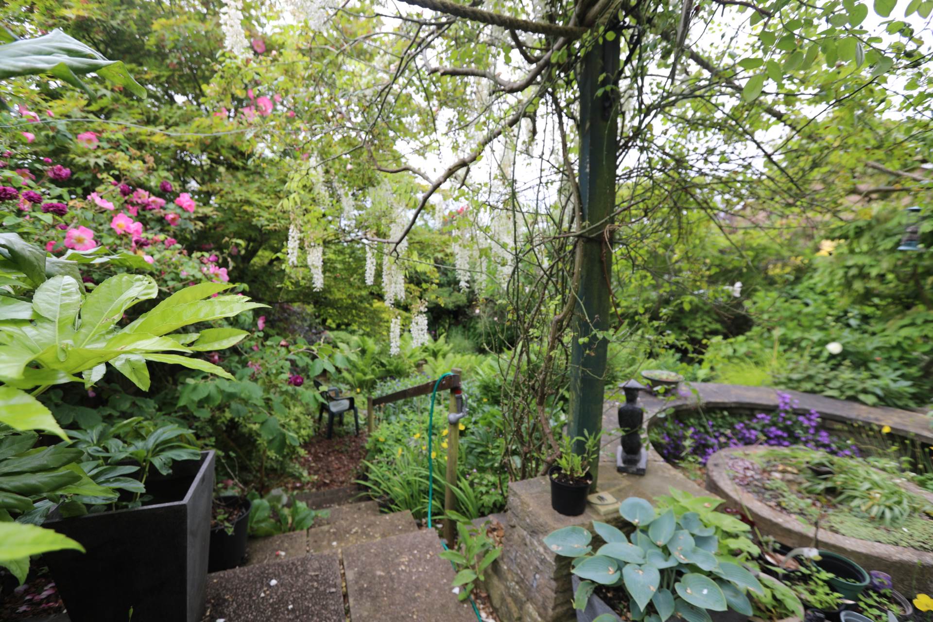 Goodwood Road, Leicester, Image 25