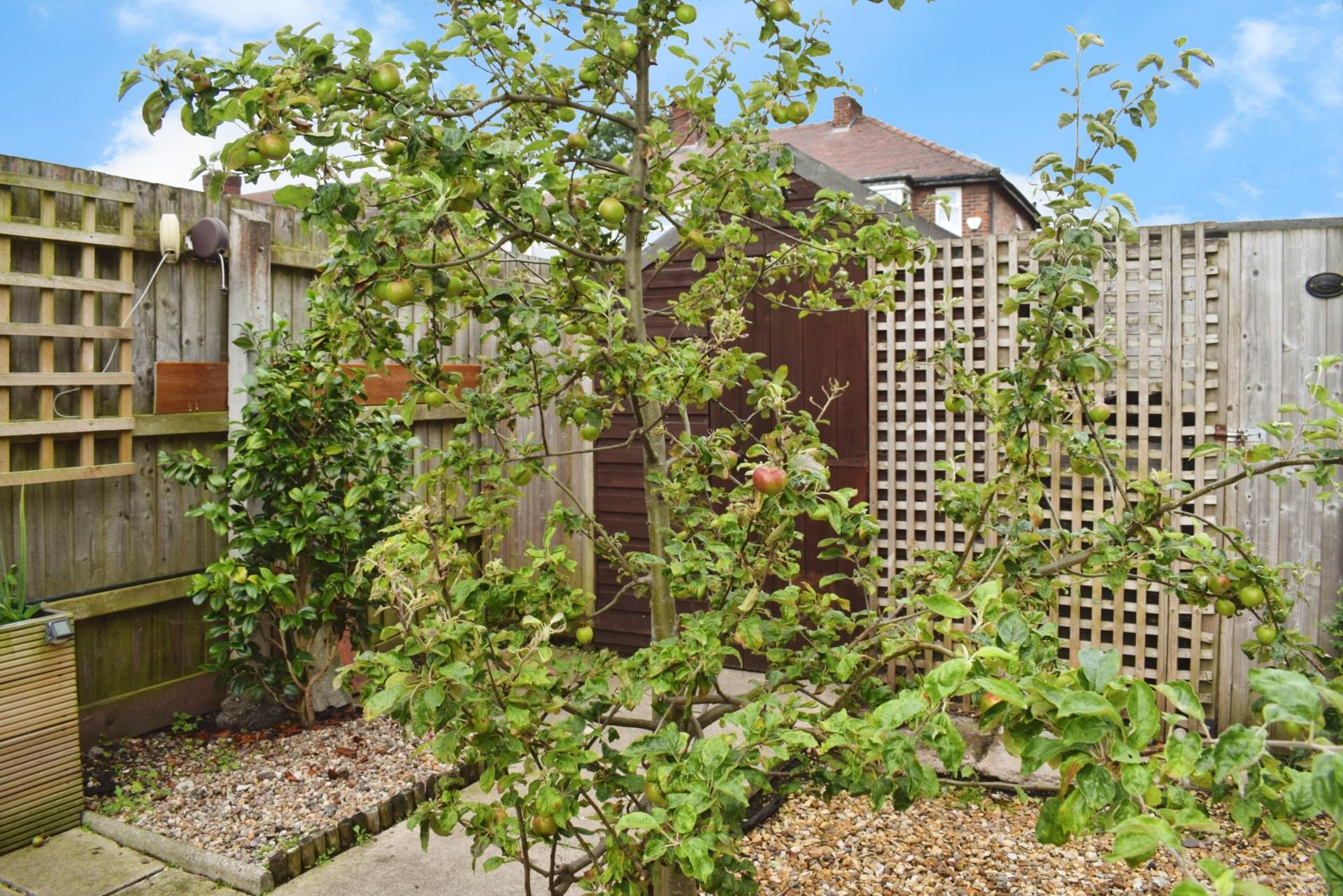 Townsend Street, Birkenhead, Image 22