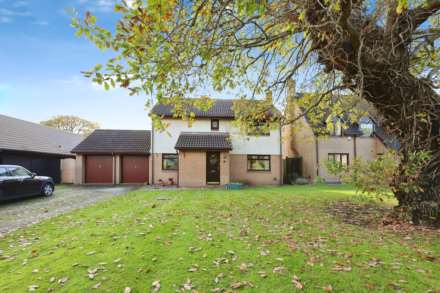 Dibbinview Grove, Spital