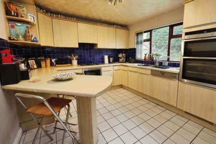 Dibbinview Grove, Spital, Image 12