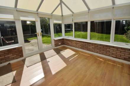 Dibbins Hey, Spital, Image 8