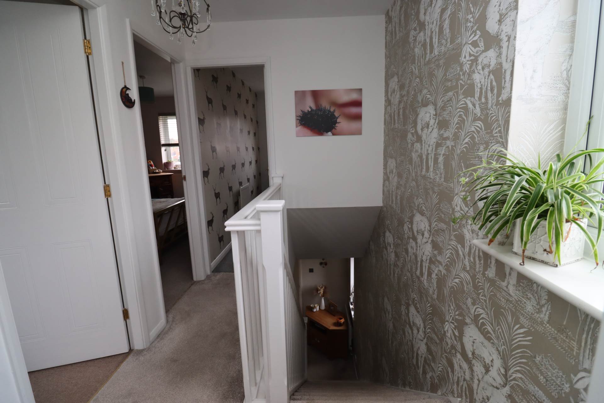 St Kilda, Ellesmere Port, Image 21