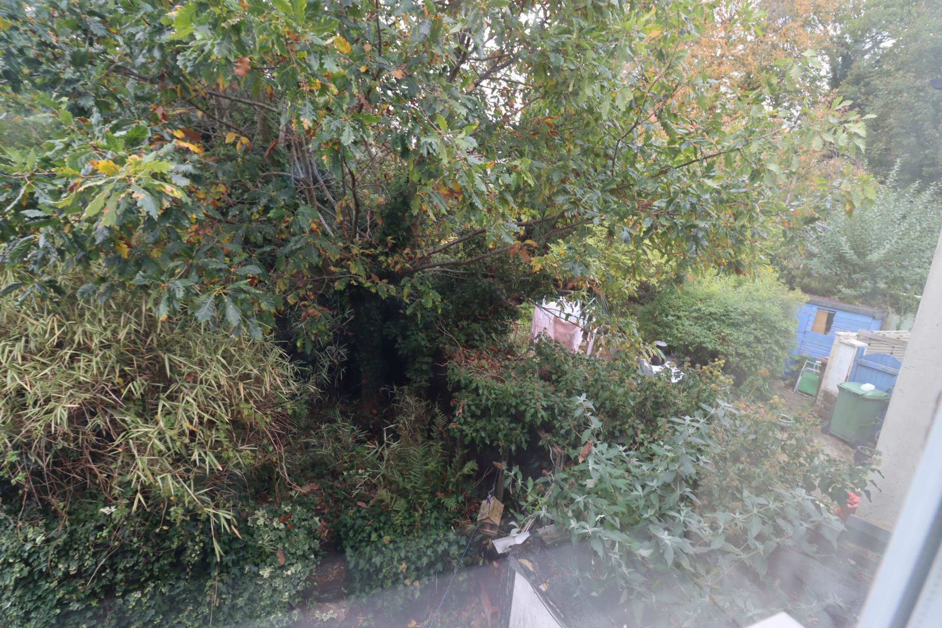 Stanley Lane, Eastham, Image 22
