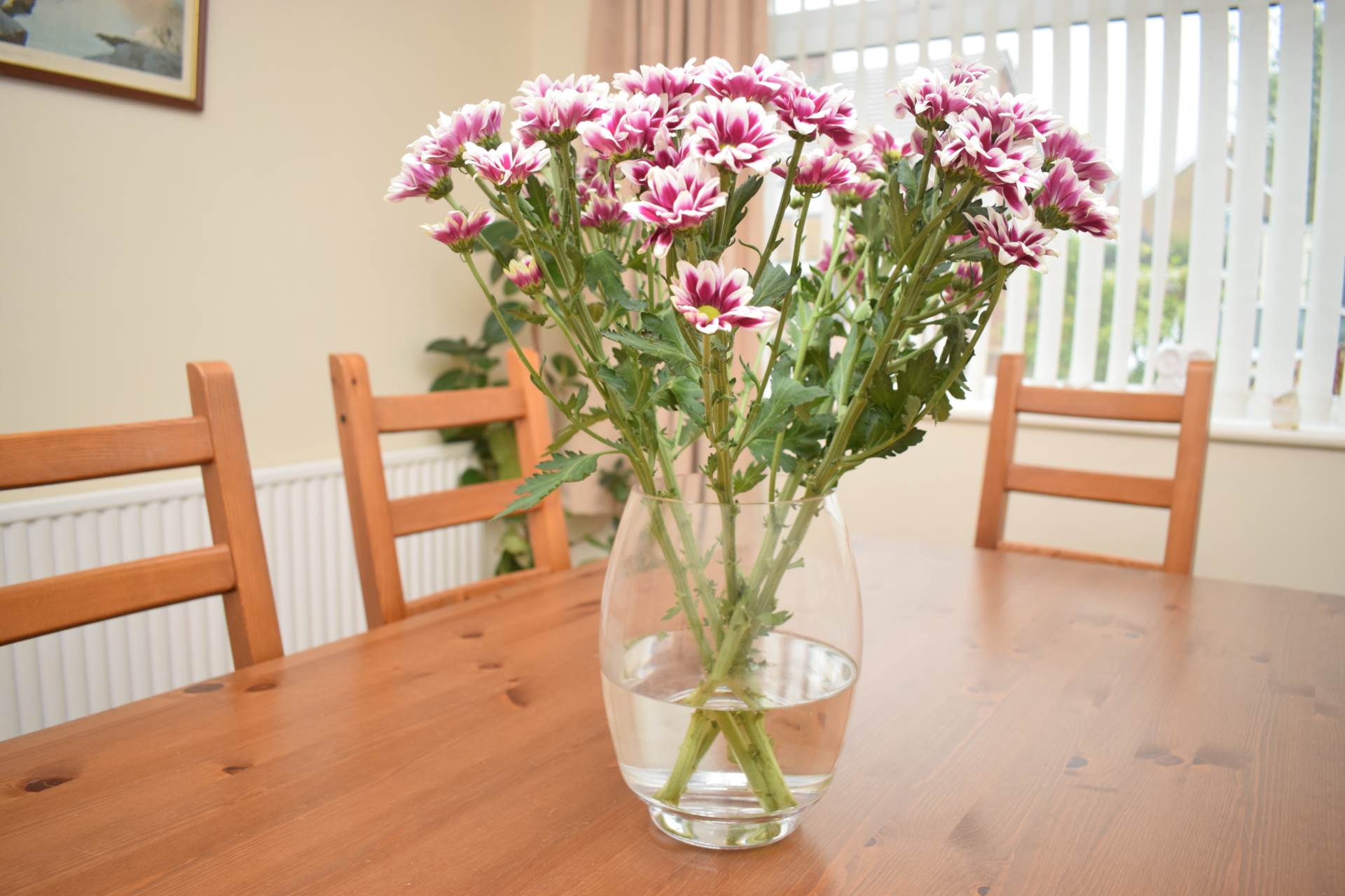 Shallmarsh Road, Higher Bebington, Image 12