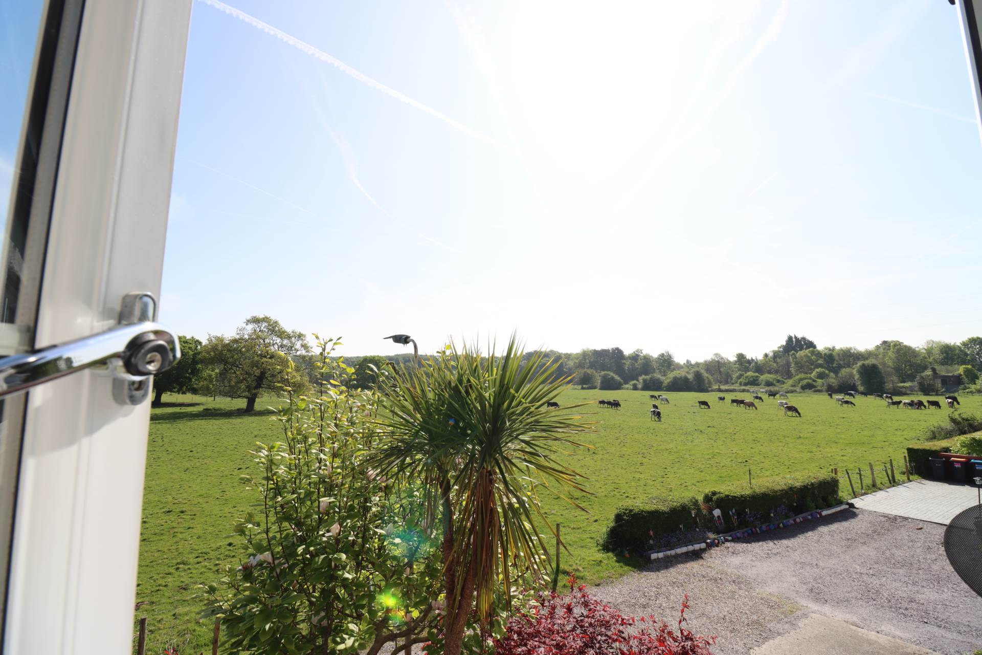 Woodland View, Childer Thornton, Image 4