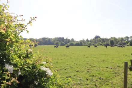 Woodland View, Childer Thornton, Image 25