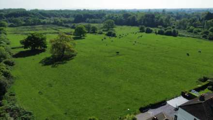 Woodland View, Childer Thornton, Image 30