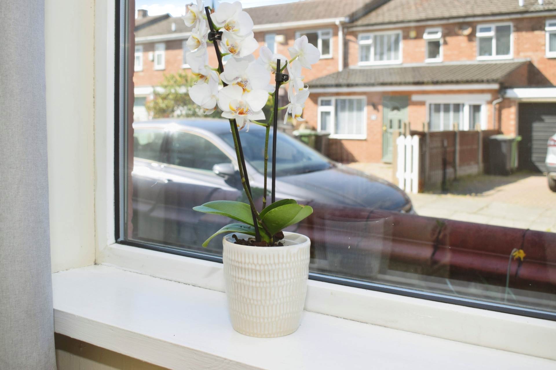 Erfurt Avenue, Bebington, Image 7