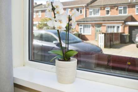 Erfurt Avenue, Bebington, Image 7