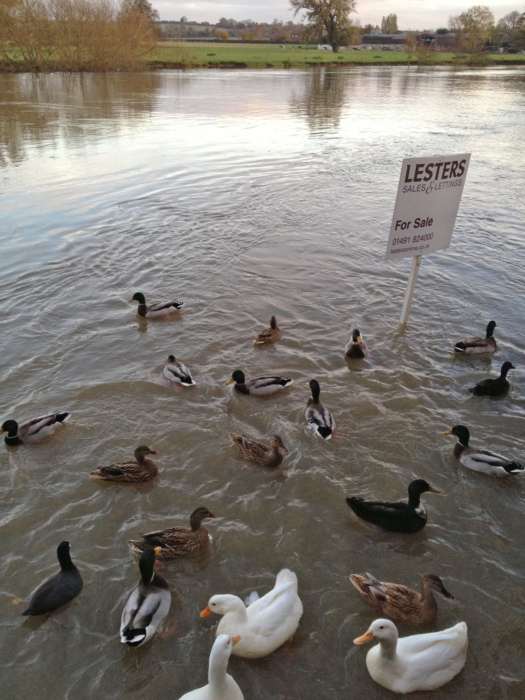 Lesters Are Marketing Their Portfolio Of Riverside Properties Whatever The Weather!