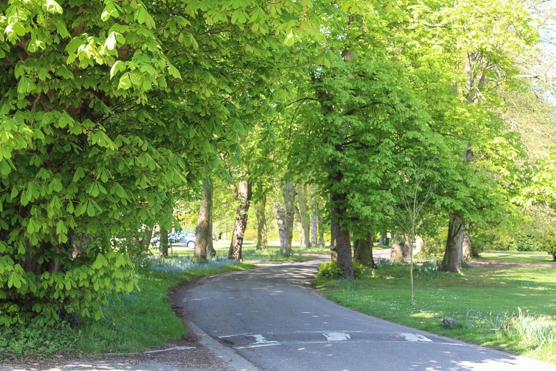 Court Drive, Shillingford, Image 28