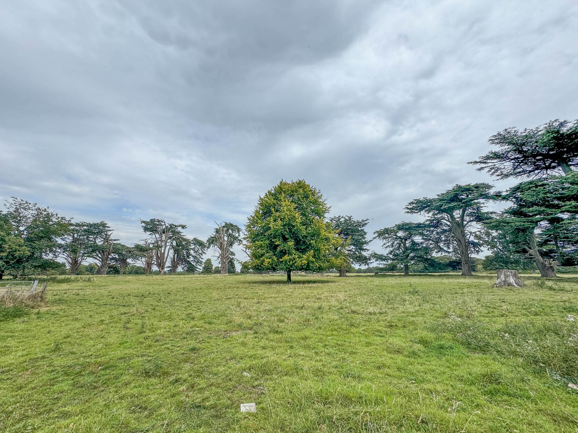 Brightwell Park, Image 7