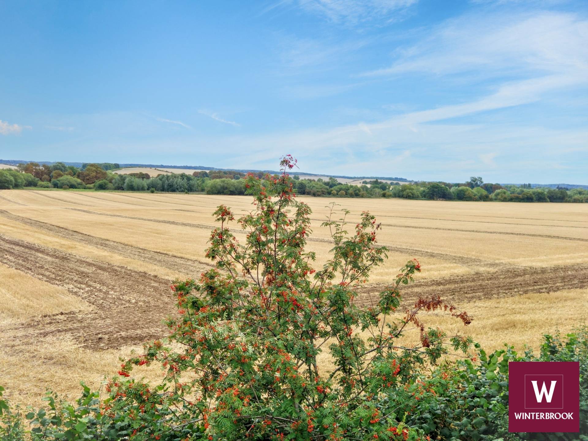 Ferry Lane, Cholsey, Image 18