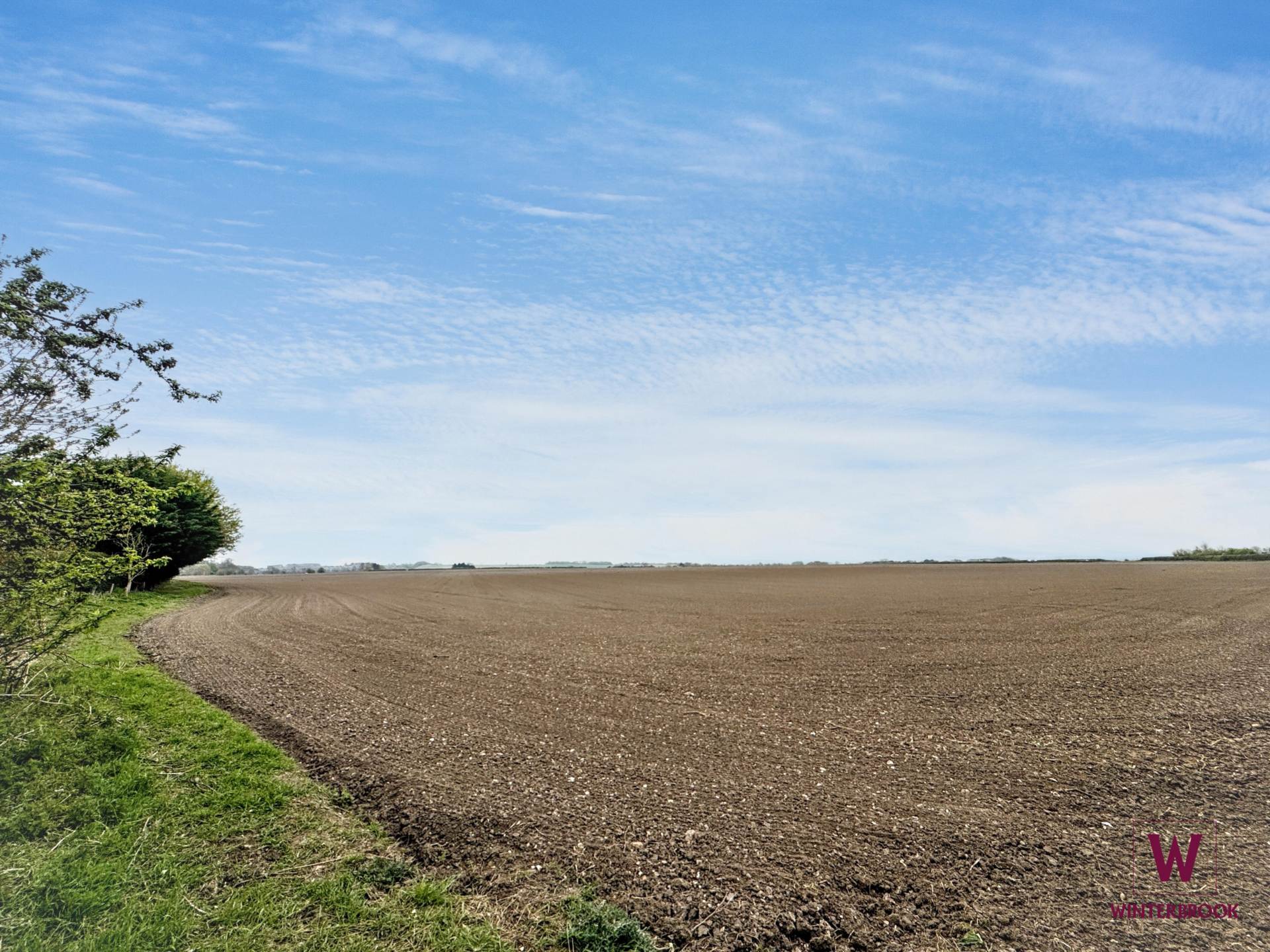 Roke Marsh, Roke, Image 15