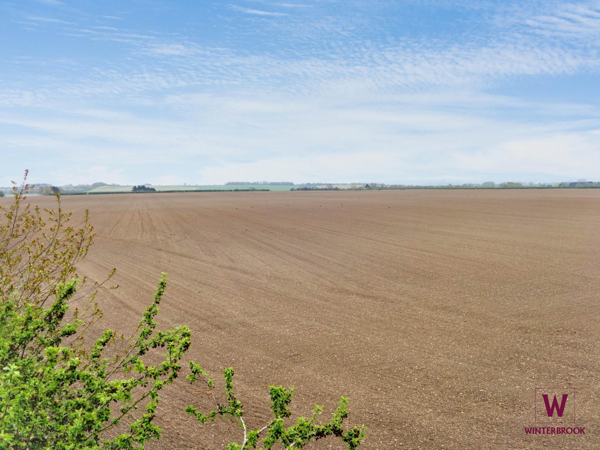 Roke Marsh, Roke, Image 16
