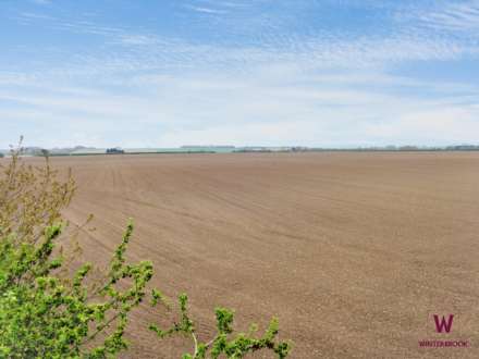 Roke Marsh, Roke, Image 16