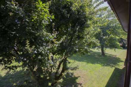 Apartment   Acacia View    Forest Rd Frome, Frome, Image 11