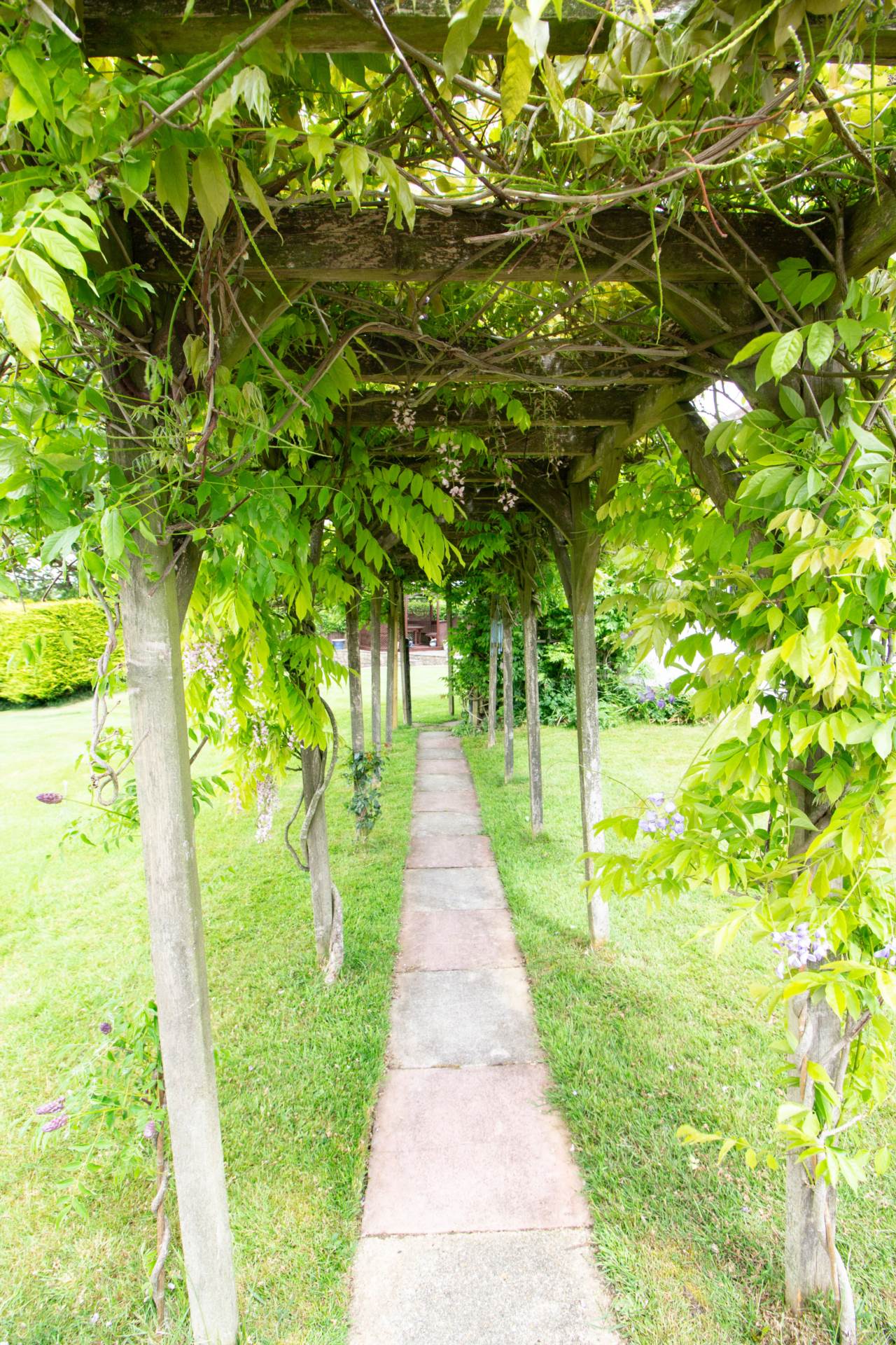 Mead Lane, Wanstrow, Image 7