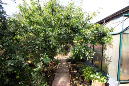 Waverley Close, Frome, Image 11