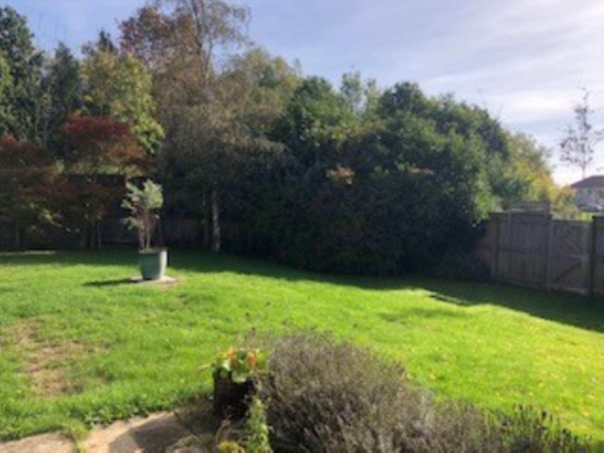 St Lukes Road, Beckington, Image 22