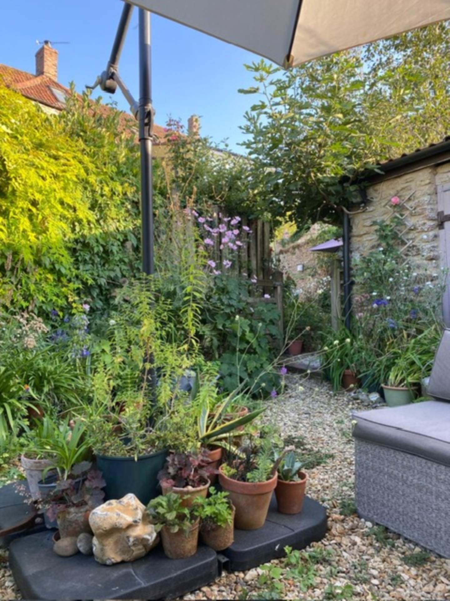 Frome Road, Beckington, Image 21