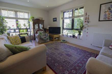 Acacia View, Image 7