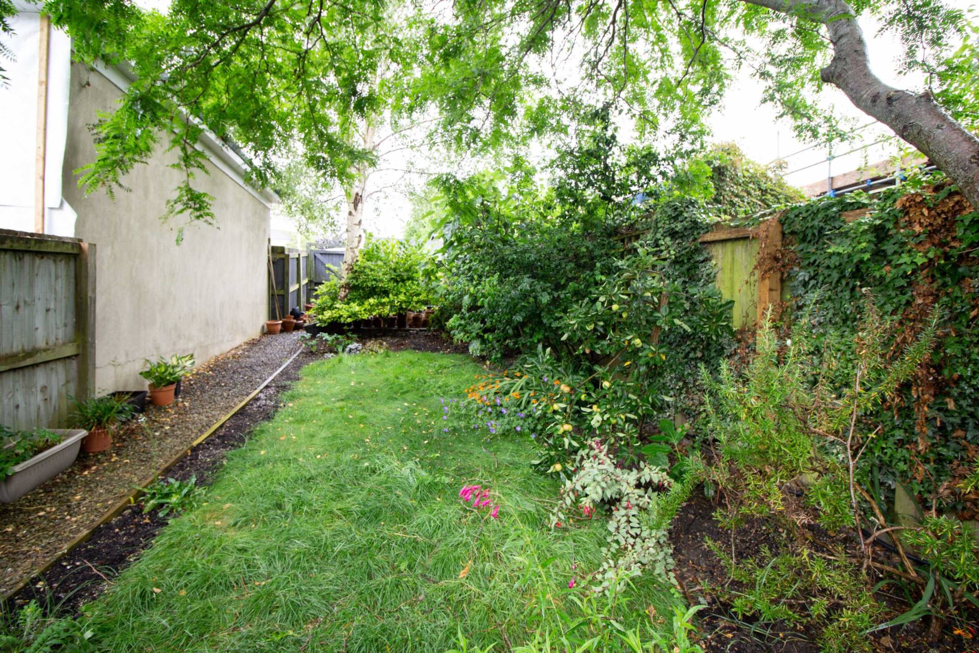 Alexandra Road, Frome, Image 3