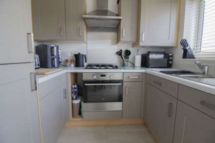 Lily Road, Frome, Image 3