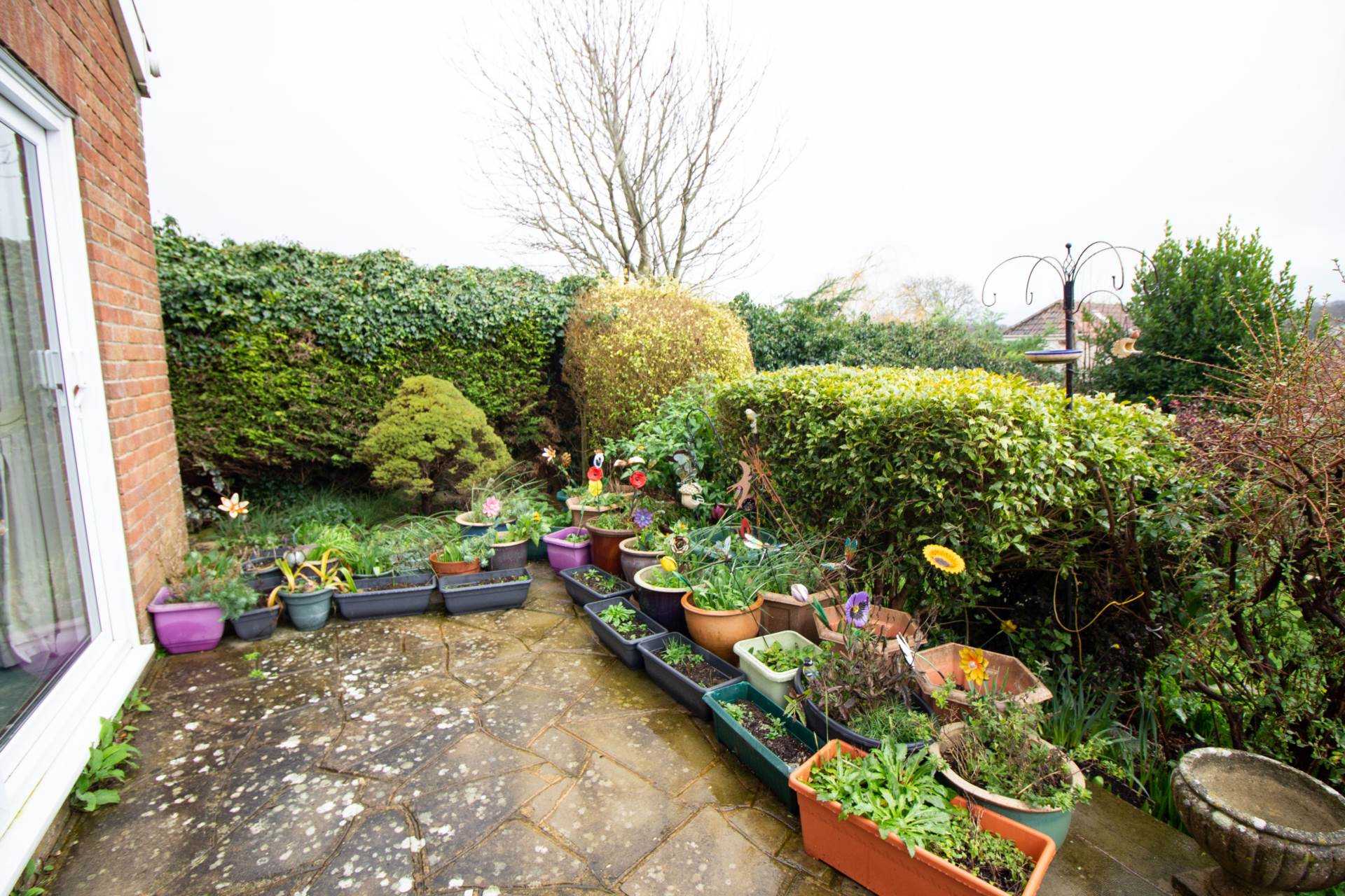 Pedlars Grove, Frome, Image 13