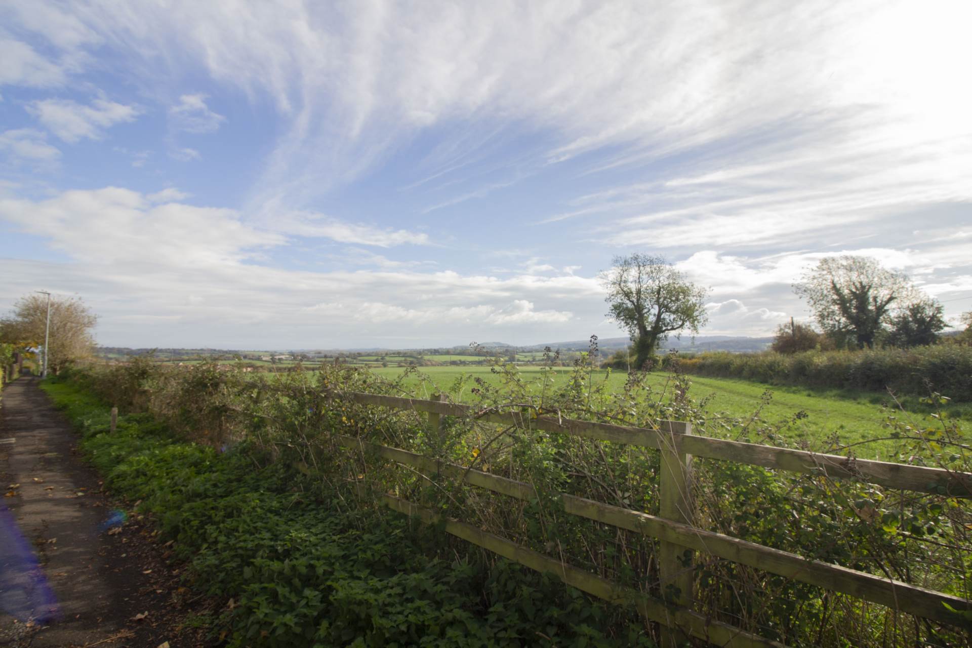 Tower View, Frome, Image 13