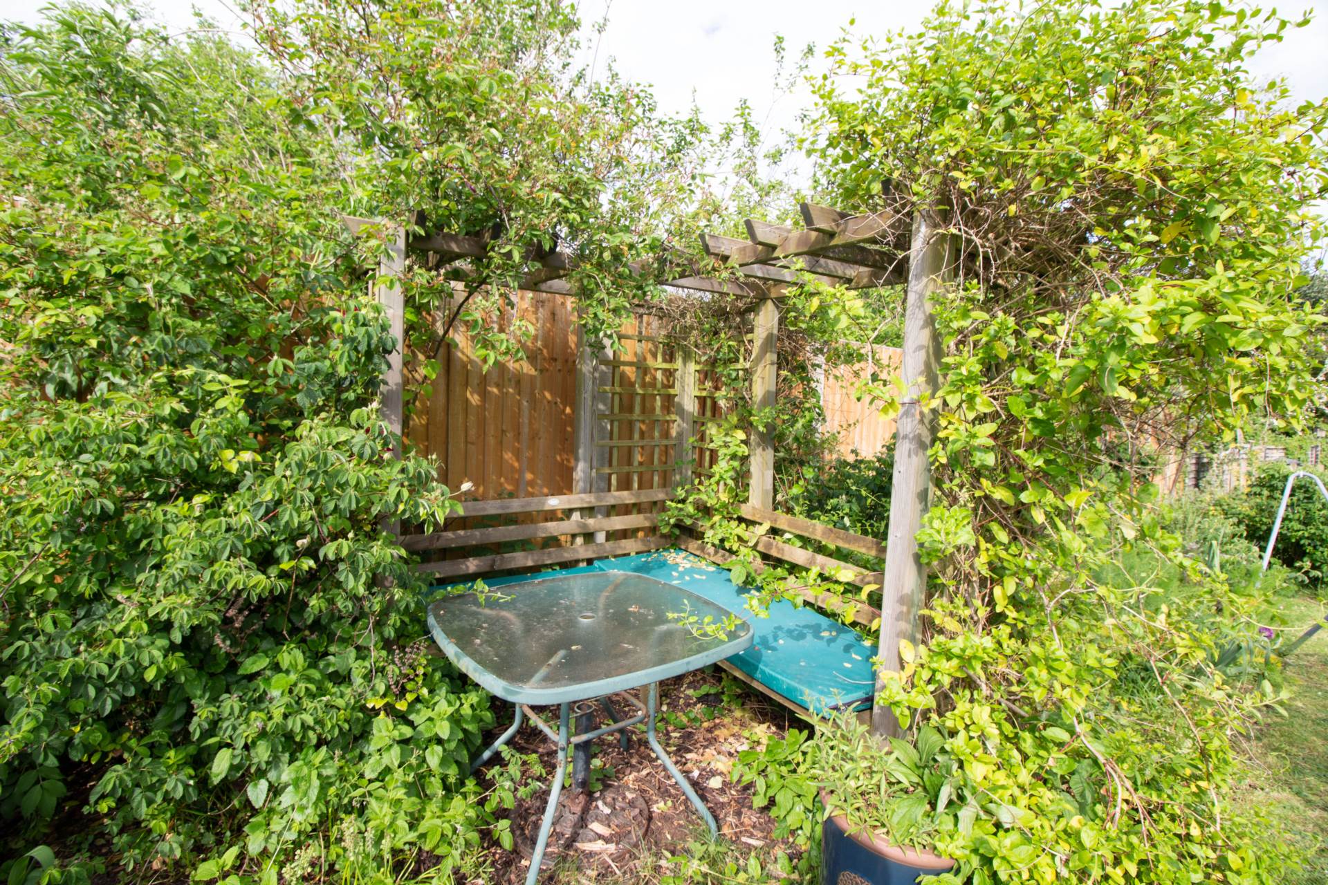 Beechwood Avenue, Frome, Image 5