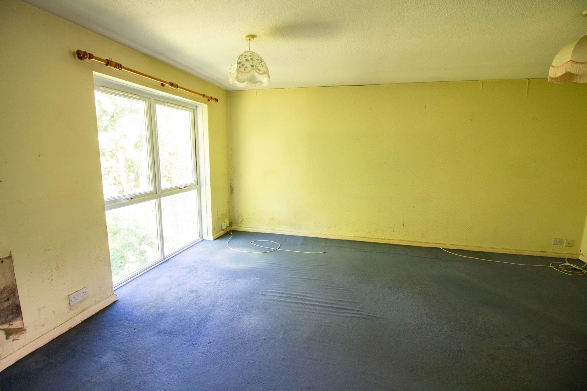 Ashtree Road, Frome, Image 3