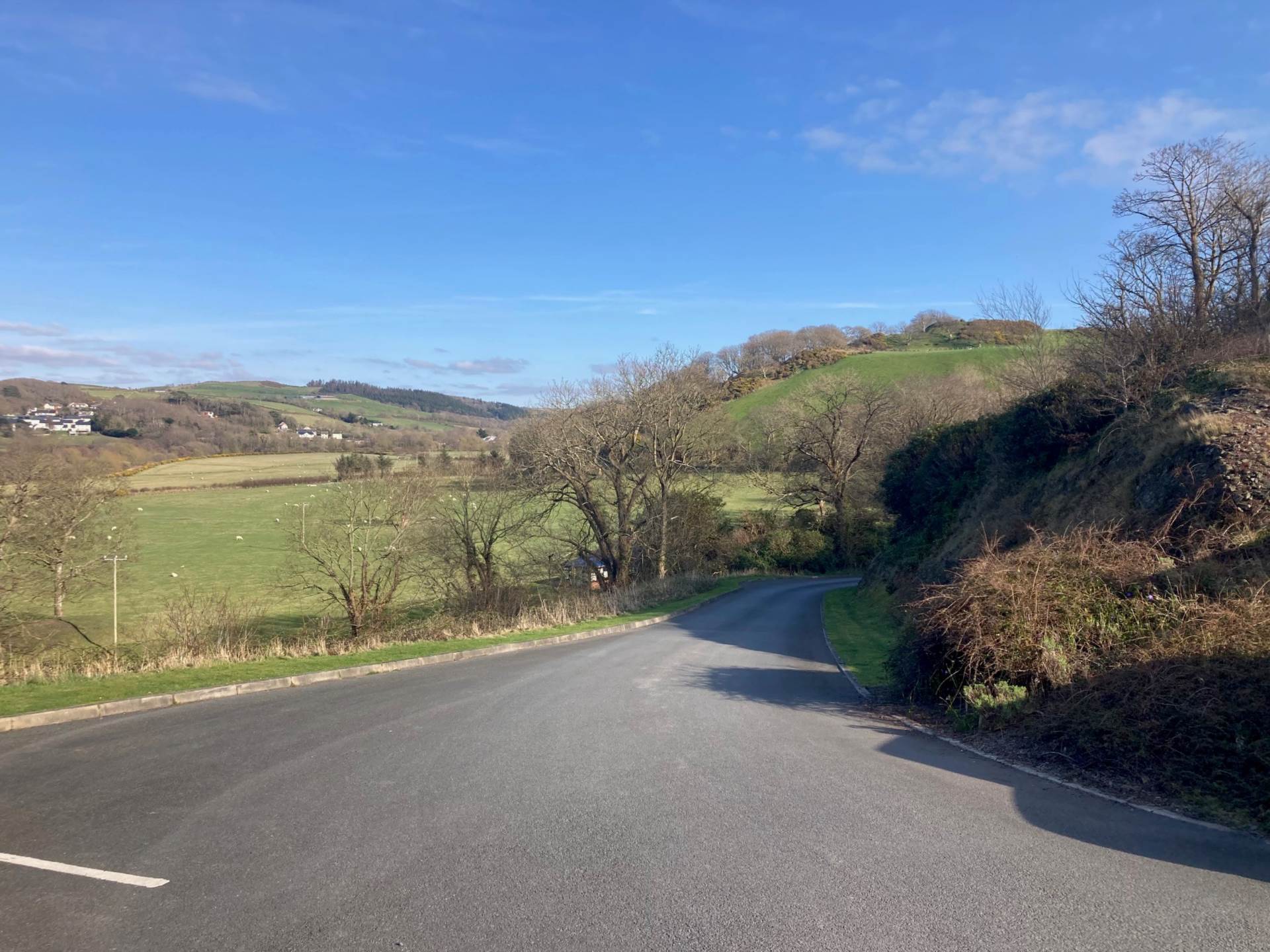 Plas Tan Y Bwlch, Rhydyfelin, Image 20