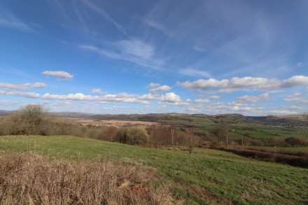 Tynreithyn, Tregaron, Image 26