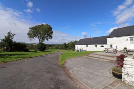 Tynreithyn, Tregaron, Image 28
