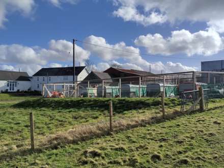 Tynreithyn, Tregaron, Image 29